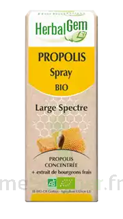 Herbalgem Propolis Large Spectre Solution Buvable Bio Spray/15ml à Propriano